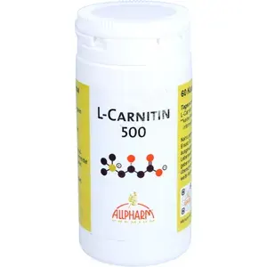 L-CARNITIN500mgKapseln60Stück