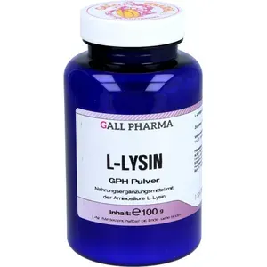L-LYSINPULVER100g