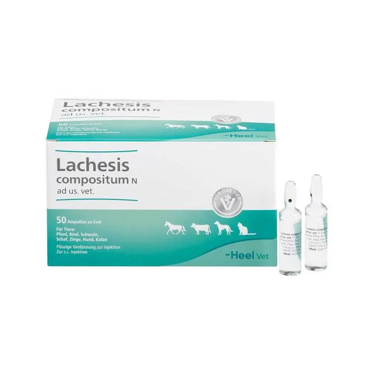 Lachesis Compositum N Ampullen vet. (für Tiere), 50 St