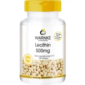 LECITHIN500mgKapseln250Stück