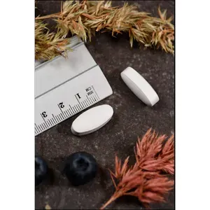 MAGNESIUMCITRAT400mgKALTabletten60Stück