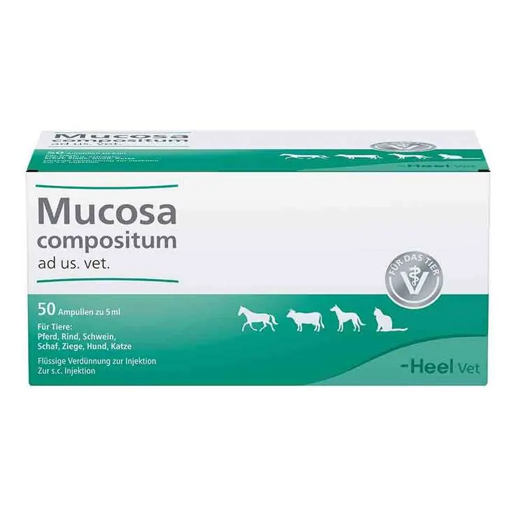 Mucosa Compositum Ampullen vet. (für Tiere), 50X5 ml