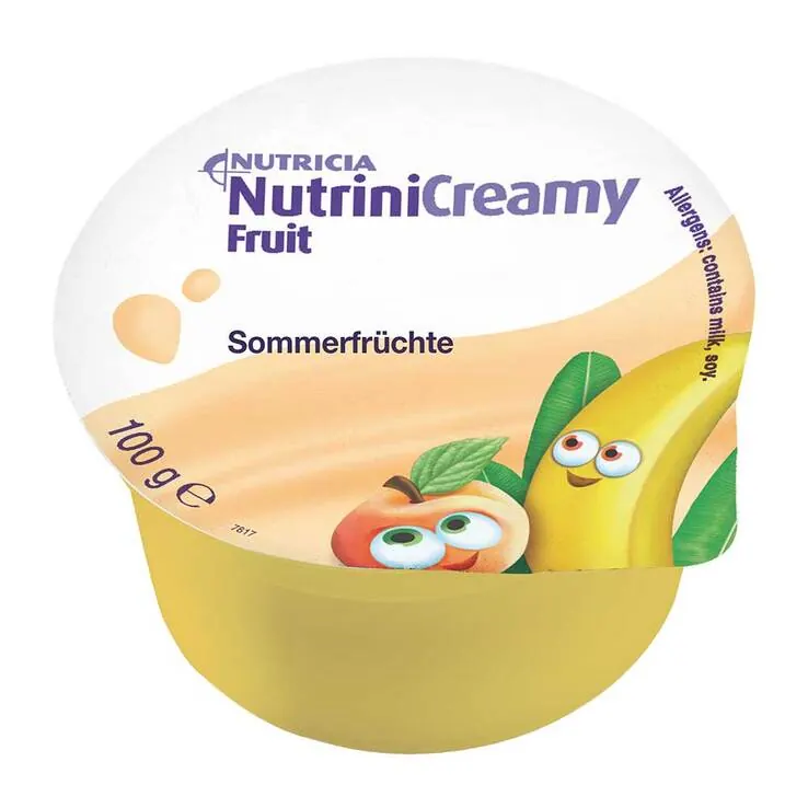 Nutrini Creamy Fruit Sommerfrüchte, 48X100 g