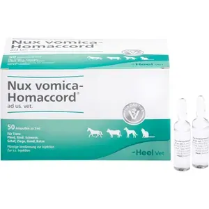 NUXVOMICAHOMACCORDadus.vet.Ampullen50St