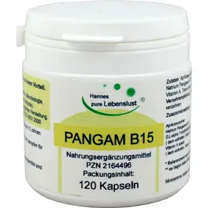 PANGAMVitaminB15Kapseln120Stück