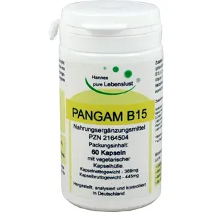 PANGAMVitaminB15Kapseln60Stück
