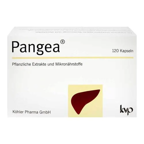 Pangea Kapseln, 120 St