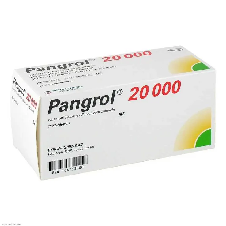 Pangrol 20000 magensaftresistente Tabletten, 100 St