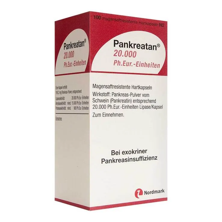 Pankreatan 20.000 Ph.Eur.-Einheiten magensaftresistent Hartkapseln , 100 St