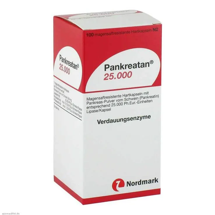 Pankreatan 25.000 magensaftresistente Kapseln, 100 St