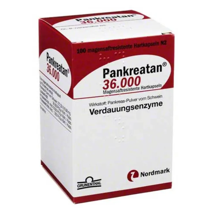 Pankreatan 36.000 magensaftresistente Kapseln, 100 St