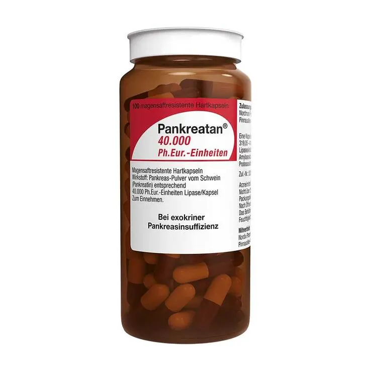 Pankreatan 40.000 Ph.Eur.-Einheiten magensaftresistent Hartkapseln , 100 St