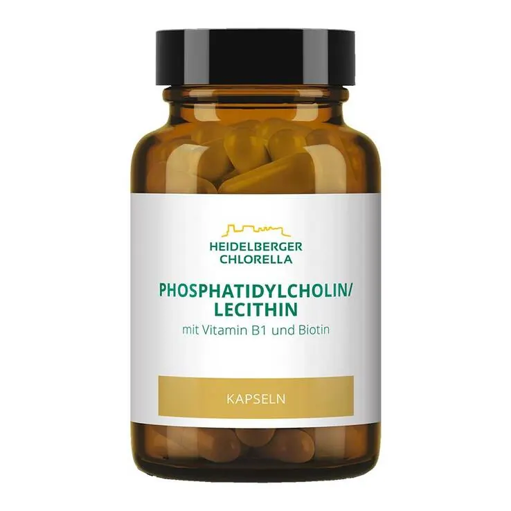 Phosphatidylcholin / Lecithin Phospholipide Kapseln, 60 St