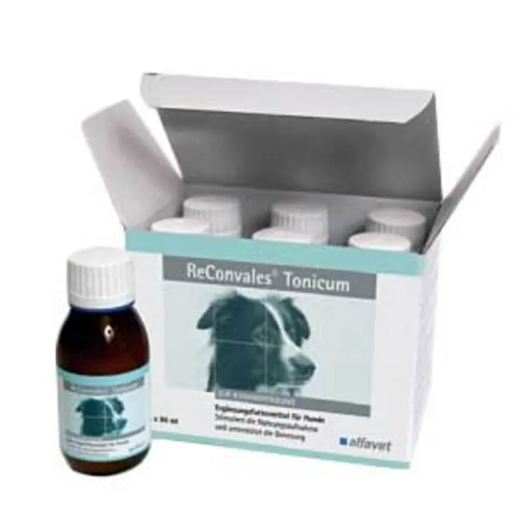 Reconvales Tonicum für Hunde, 6X90 ml