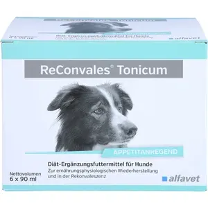 RECONVALESTonicumfürHunde6X90ml