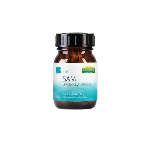 SAM S-ADENOSYLMETHIONIN Kapseln, 60 St