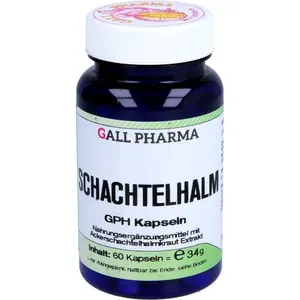 SCHACHTELHALMKAPSELN60Stück