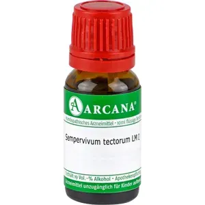SEMPERVIVUMtectorumLM1Dilution10ml