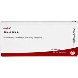 SILICEACOMP.Ampullen10X1ml