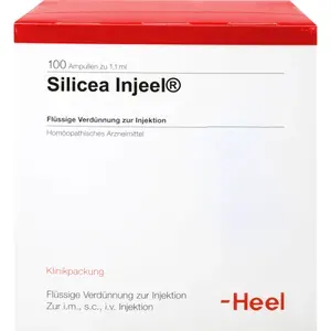 SILICEAINJEELAmpullen100St