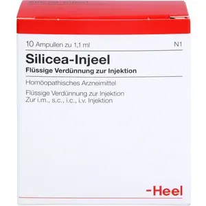 SILICEAINJEELAmpullen10St