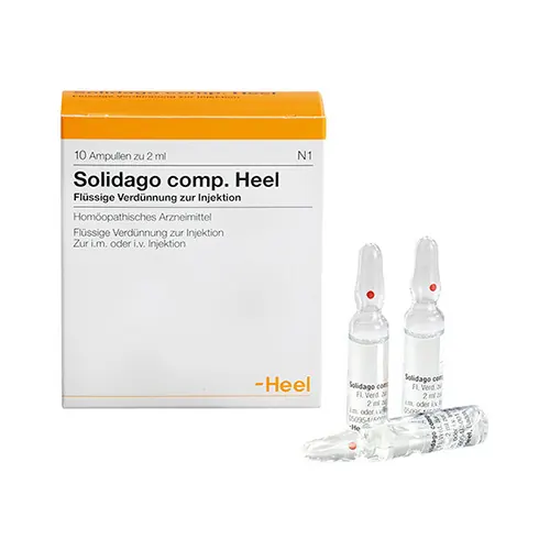 Solidago comp.Heel Ampullen, 10 St