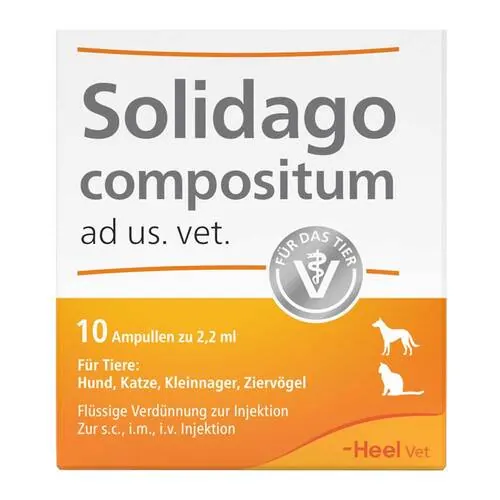 Solidago Compositum ad us.vet.Ampullen, 10 St