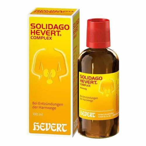 Solidago Hevert Complex Tropfen, 100 ml