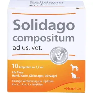 SOLIDAGOCOMPOSITUMadus.vet.Ampullen10St