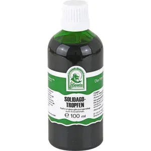 SOLIDAGOTROPFEN100ml