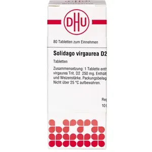SOLIDAGOVIRGAUREAD2Tabletten80St