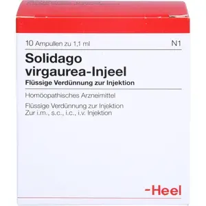 SOLIDAGOVIRGAUREAINJEELAmpullen10St
