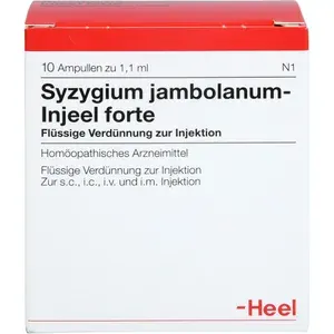 SYZYGIUMJAMBOLANUMINJEELforteAmpullen10St