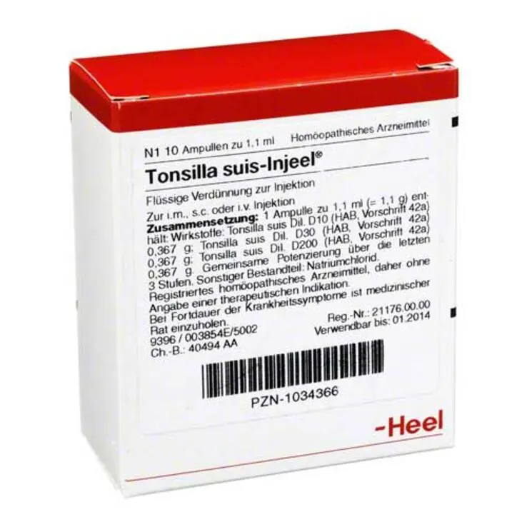 Tonsilla Suis Injeel Ampullen, 10 St