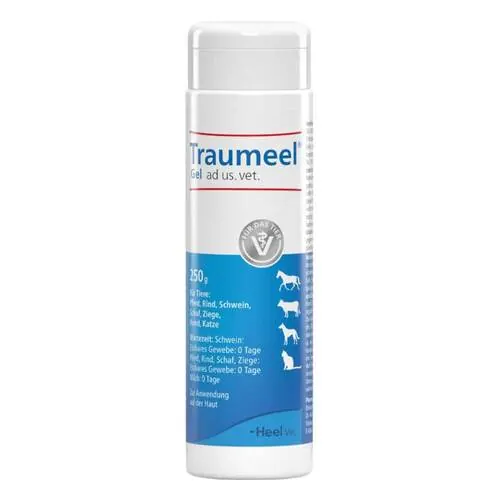 Traumeel Gel ad us.vet. (für Tiere), 1X250 g