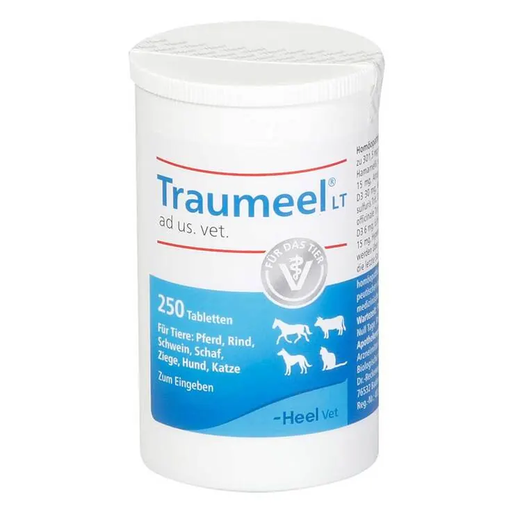 Traumeel LT ad us.vet.Tabletten, 250 St