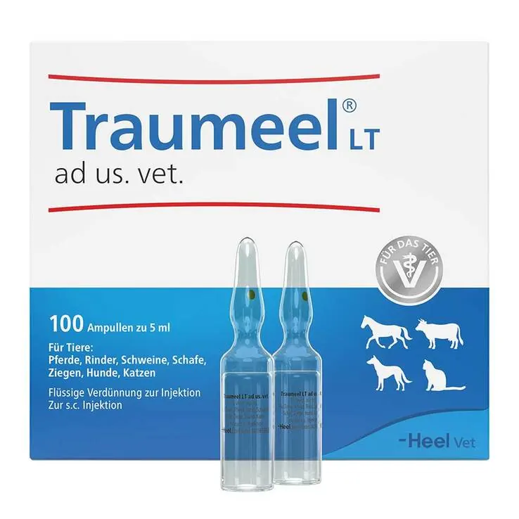 Traumeel LT Ampullen vet. (für Tiere), 100X5 ml