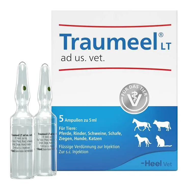 Traumeel LT Ampullen vet. (für Tiere), 5X5 ml