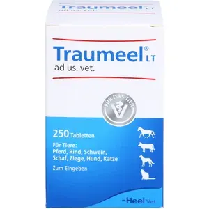 TRAUMEELLTadus.vet.Tabletten250St