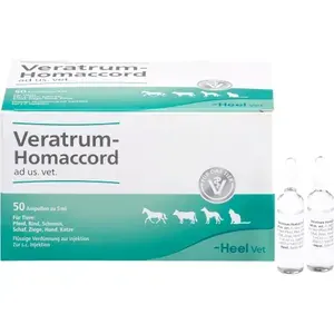 VERATRUMHOMACCORDadus.vet.Ampullen50St