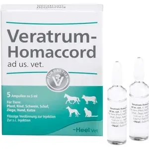 VERATRUMHOMACCORDadus.vet.Ampullen5St