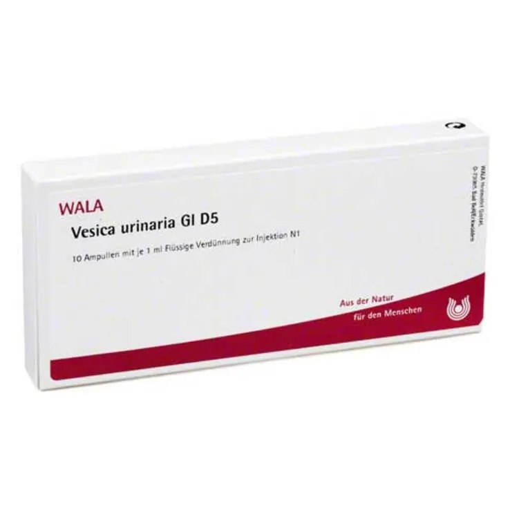 Vesica Urinaria GL D 5 Ampullen, 10X1 ml