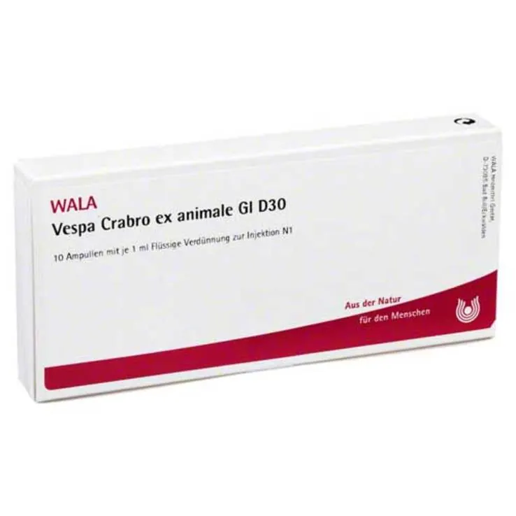 Vespa Crabro ex animale GL D 30 Ampullen, 10X1 ml