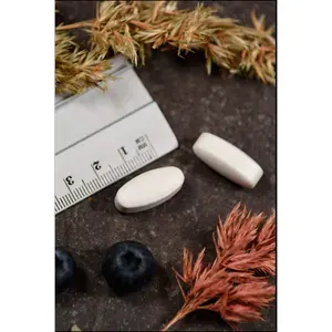 VITAMINB51000mgPantothensäureKALTabletten100Stück