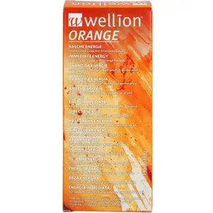 WELLIONORANGEInvertzuckersirupBeutel10Stück