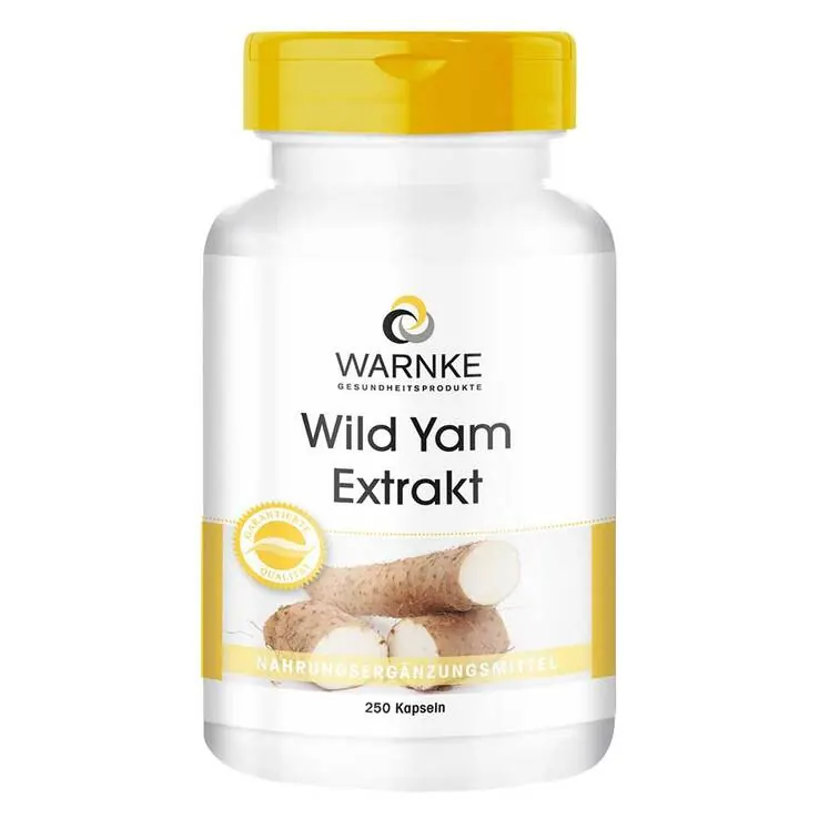 Wild Yam Extrakt Kapseln, 250 St