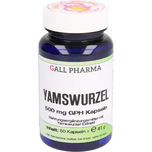 YAMSWURZEL500mgGPHKapseln60Stück