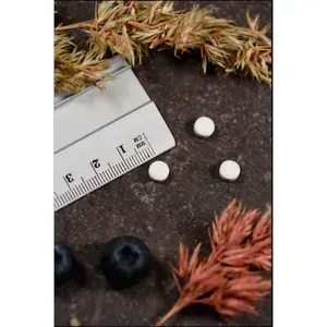 ZINK15PlusKALTabletten100Stück